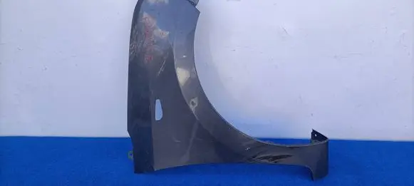 Hyundai i10 Fender 66321-B9010