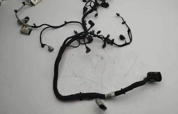 Engine installation wiring loom