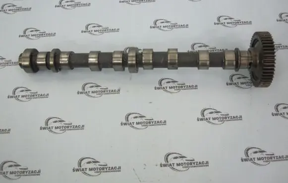 Renault Trafic II (X83) Camshaft 55565853