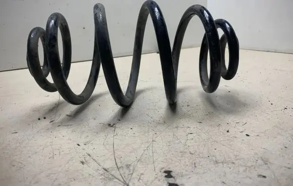 Volkswagen PASSAT B5.5 Rear coil spring