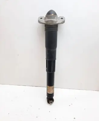 Volkswagen ID.4 Rear shock absorber/damper 1EA512013BD