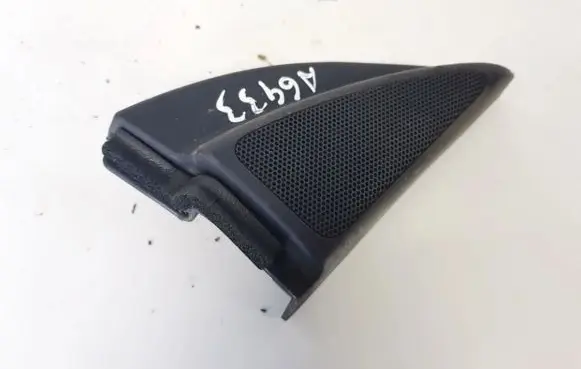 Side speaker trim/cover