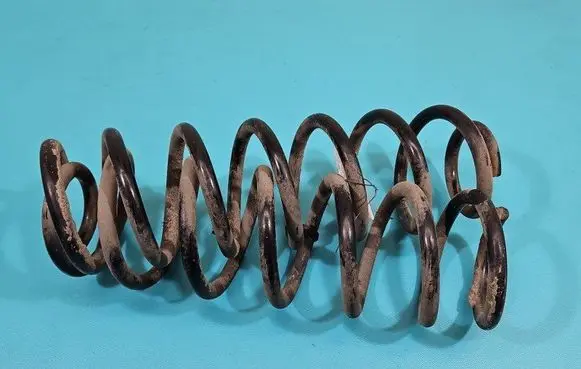 Rear coil spring