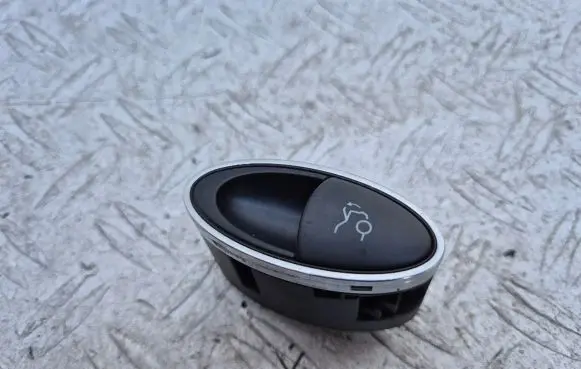 Tailgate opening switch