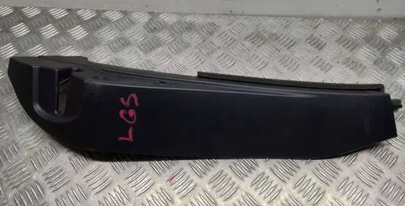 Other rear door trim element