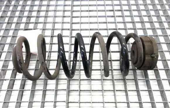 Rear coil spring