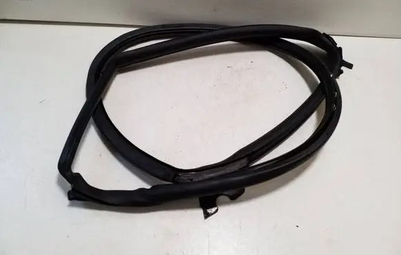 Tesla Model S Rear door rubber seal (on body)