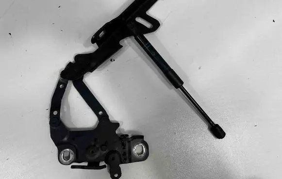BMW 1 F20 F21 Engine bonnet/hood hinges 7286343 7336699