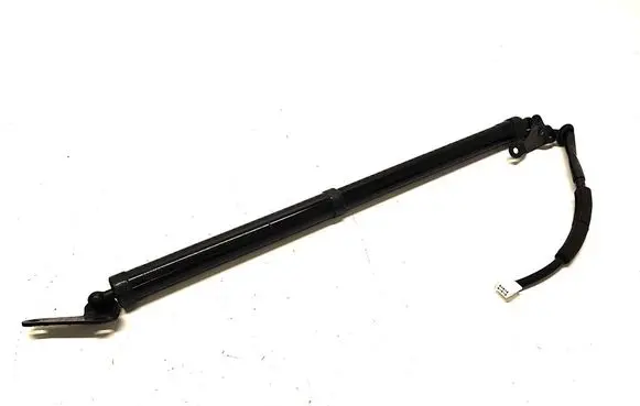 Tailgate strut
