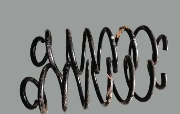 Ford Focus Rear coil spring