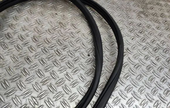 Nissan Juke I F15 Front door rubber seal 