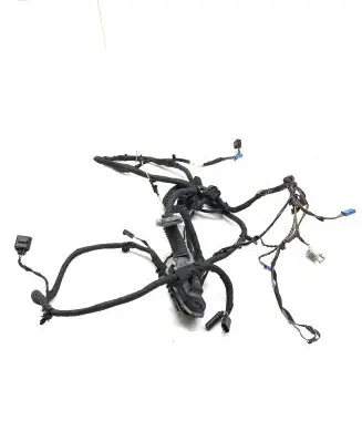 BMW 5 F10 F11 Front door wiring loom 9147281 9169242