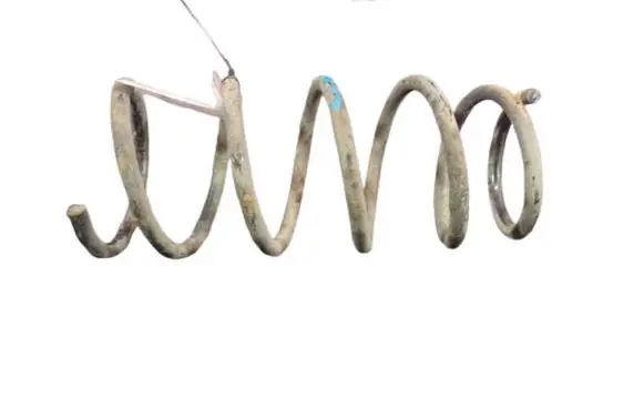 Rear coil spring