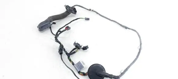 Rear door wiring loom