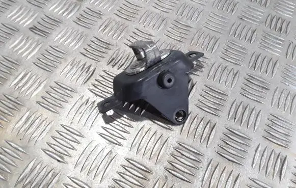 Dacia Dokker Tailgate/trunk/boot lock/catch/latch 825704845R