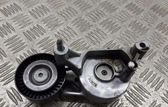 Skoda Octavia Mk2 (1Z) Alternator belt tensioner pulley 950445