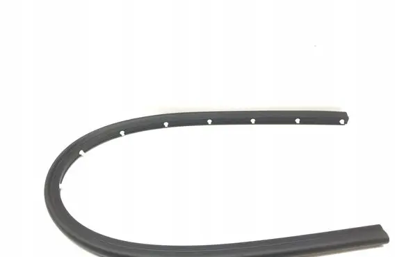 Mini Cooper Countryman F60 Front door rubber seal 