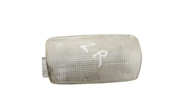 Lexus LS 460 - 600H Rear door interior light 