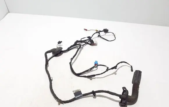 Audi A5 Other wiring loom 8W8971030T