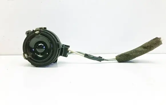 Front door high frequency speaker