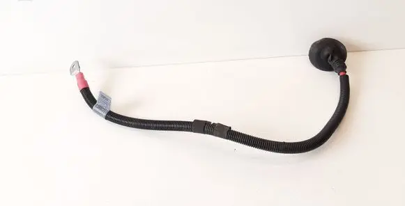 BMW X5 E53 Other wiring loom 1439559 8371014 61138371014
