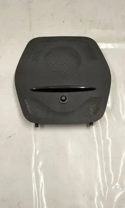Dash center speaker trim cover