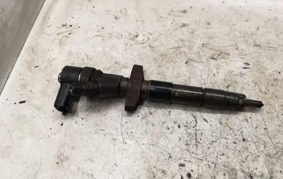 Renault Espace - Grand espace IV Fuel injector 04451100848200084534