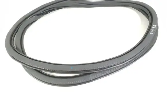 Rear door rubber seal (on body)