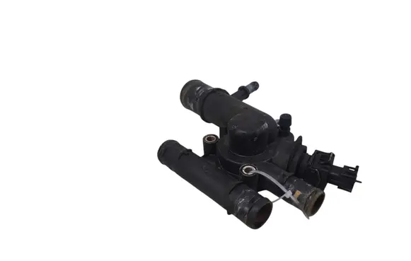 Thermostat/thermostat housing
