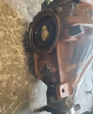 Rear differential