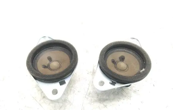Front door high frequency speaker