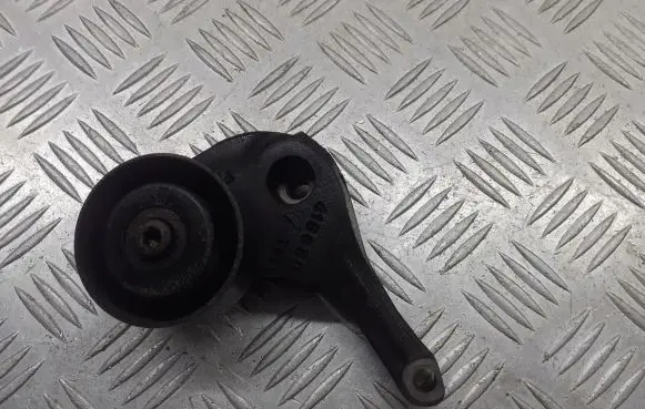 Peugeot 307 Alternator belt tensioner pulley 