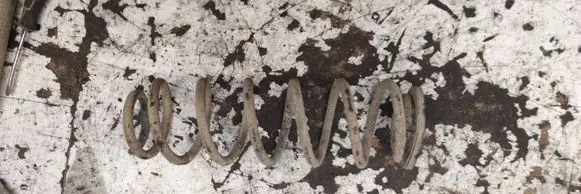 Rear coil spring