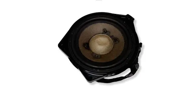 Panel speaker