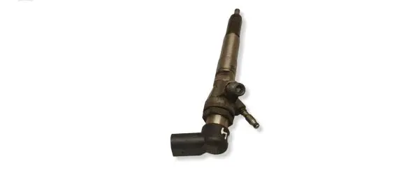 Nissan Qashqai Fuel injector 166006212R H8201100113