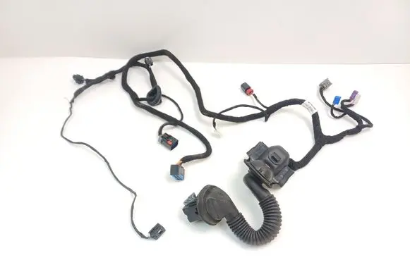 Front door wiring loom