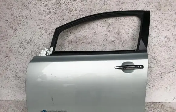 Nissan Leaf II (ZE1) Front door