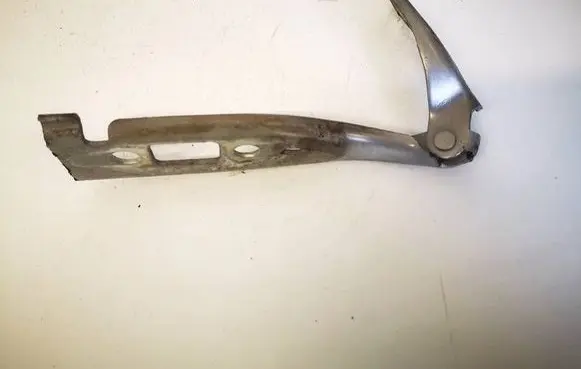 Ford Fiesta Engine bonnet/hood hinges 2S6116801AE