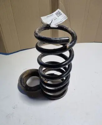 Rear coil spring