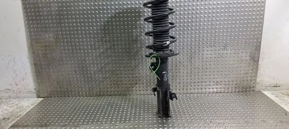 Ford Puma Front shock absorber/damper S18031646 L1TC18045BD