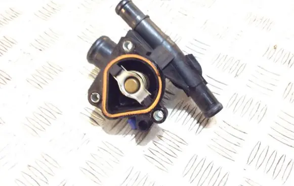 Thermostat/thermostat housing