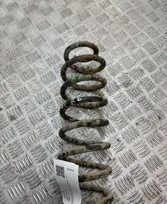 Volkswagen PASSAT B6 Rear coil spring 