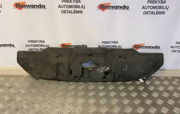 Engine bonnet/hood lock trim molding
