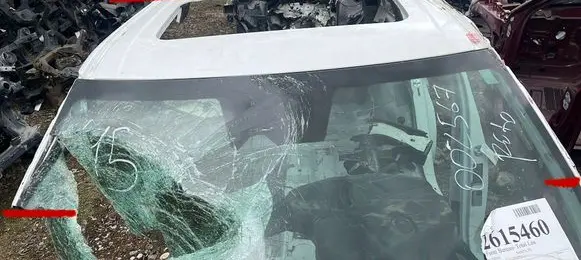 Hyundai Santa Fe V MX5 Roof 