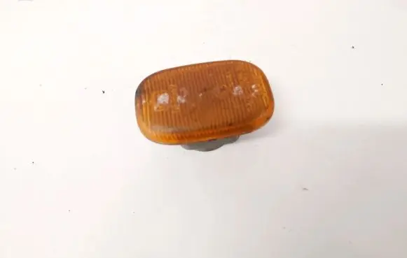 Front fender indicator light