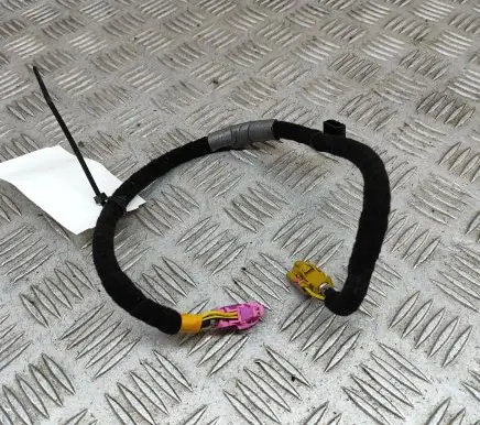 Jaguar F-Pace Other wiring loom