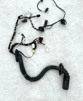Front door wiring loom
