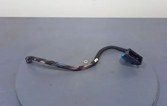 BMW X6 E71 Other wiring loom 9147287