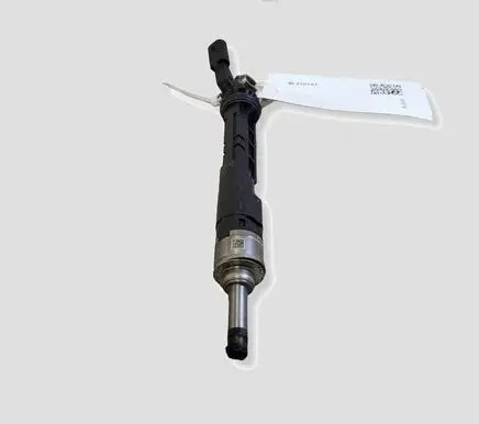 Nissan Qashqai Fuel injector 166001525R A2320701000