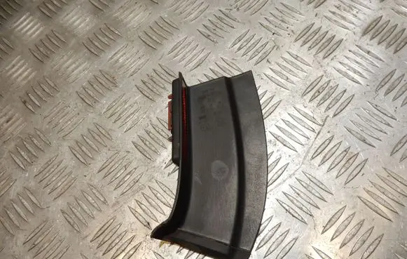 Rear/tail light trim molding